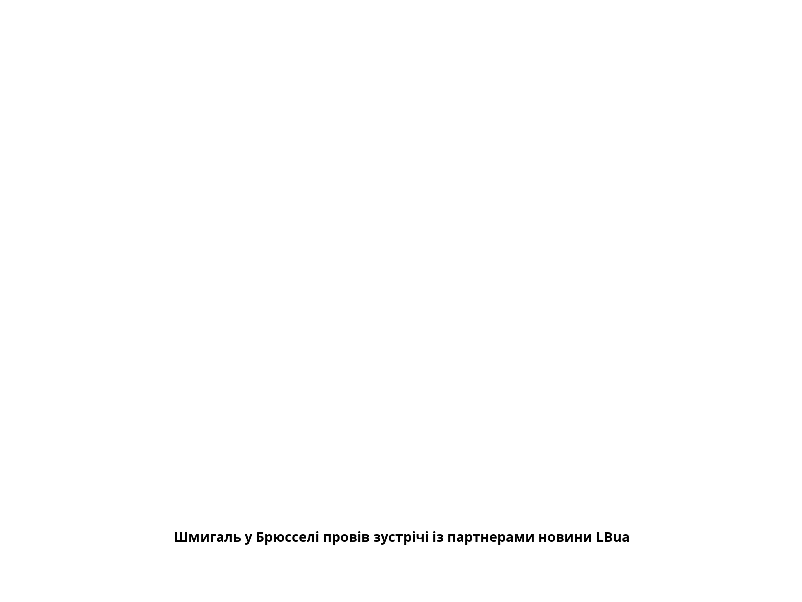Шмигаль у Брюсселі провів зустрічі із партнерами новини LBua