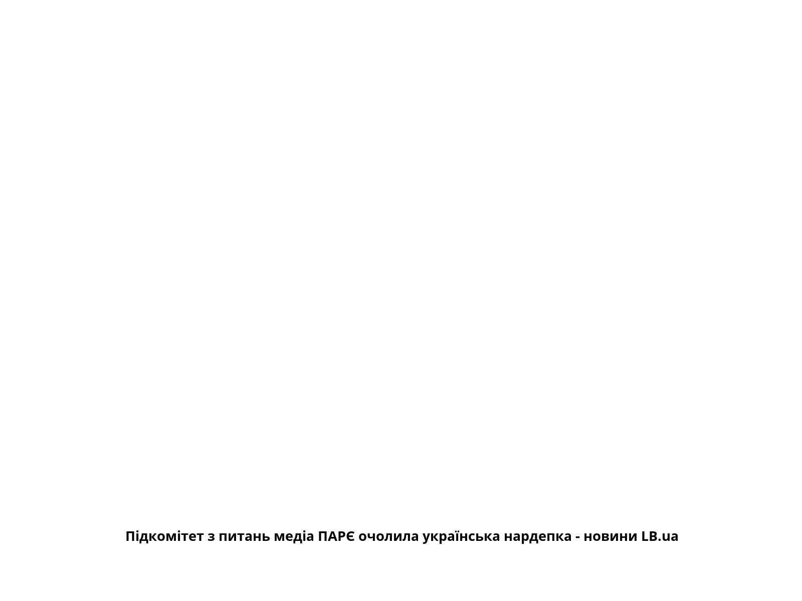 Підкомітет з питань медіа ПАРЄ очолила українська нардепка - новини LB.ua